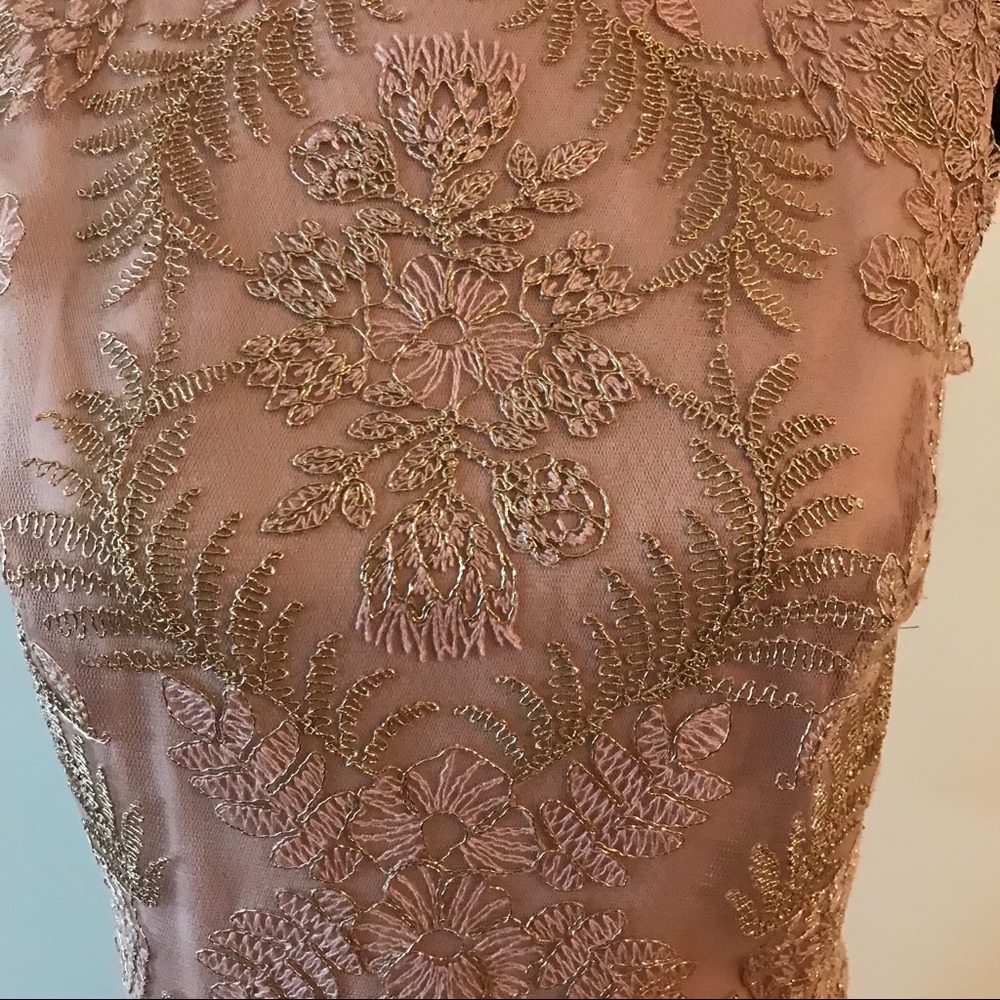 Tadashi Shoji Coral Lace Dress - Picture 2 of 3